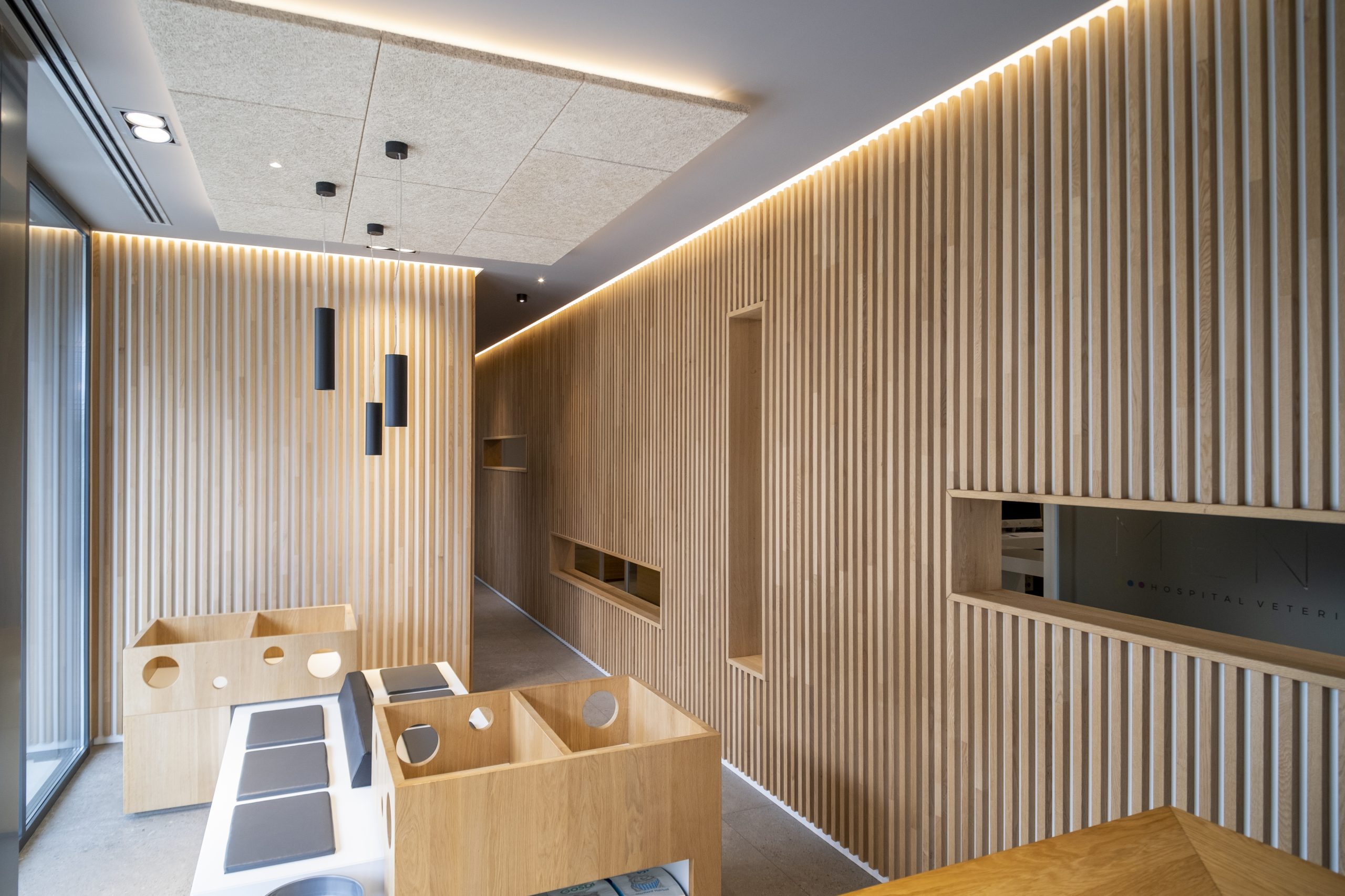 Medicina felina (2) Dulce María López ATV